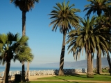 Derrière les palmiers la plage