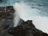 halona-blowhole