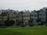 painted-ladies